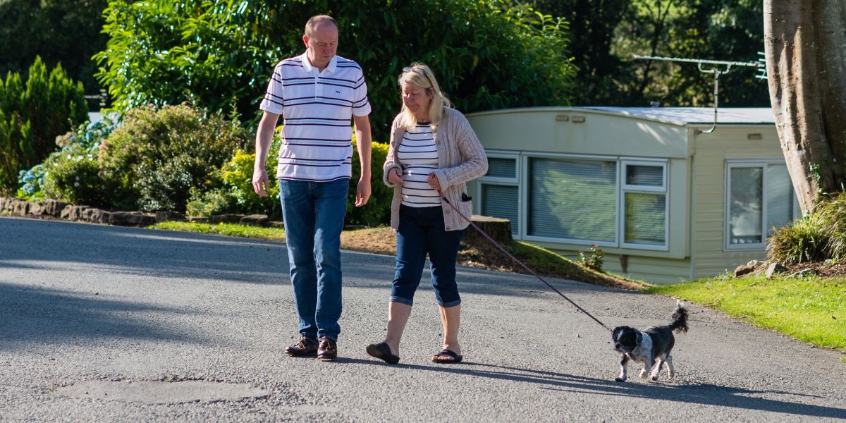 6 Best Dog Walks in Mid Wales